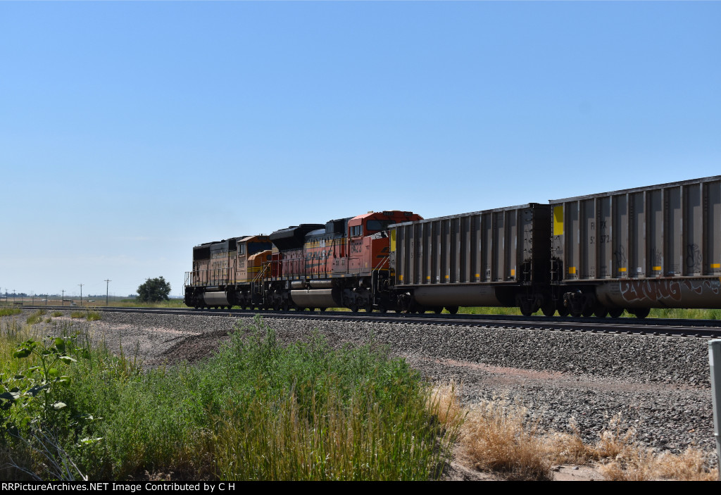 BNSF 8423/9856